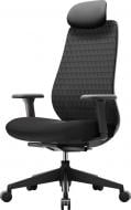 Кресло офисное OfficePro Omnis OC640B черный