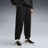 Брюки Puma FUNDAMENTALS Sweatpant FL M 69454701 р. L черный