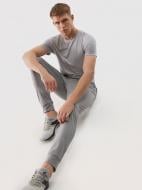 Штани 4F TROUSERS FNK M452 4FWSS24TFTRM452-27M р. S сірий