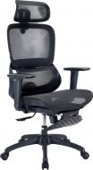 Крісло офісне Sihoo B100 B100-B101-JT чорний