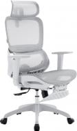 Крісло офісне Sihoo B100 B100-B102-JT білий