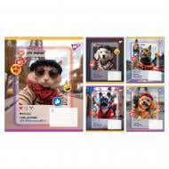 Набір шкільних зошитів Cute animals 36 аркушів клітинка 5 шт. YES