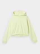 Джемпер 4F SWEATSHIRT F0847 4FSS23TSWSF0847-42S р.M зеленый