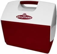 Термобокс Igloo  Playmate Elite 15 л 43362