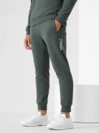 Брюки 4F RL9_TROUSERS CAS RL9SS22TTROM119-40S р. XL зеленый