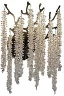 Бра Luminaria 60 Вт E14 черный EMMA 2xE14 BLACK