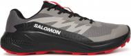 Кроссовки мужские Salomon Alphaglide L48000800 р.45 1/3 серые