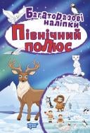 Книга Анастасия Фисина «Північний полюс. Багаторазові наліпки» 978-966-939-829-1