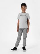 Брюки 4F TROUSERS CAS 4FJAW22TTROM237-25S р. 158 серый Брюки 4F TROUSERS CAS 4FJAW22TTROM237-25S р. 158 серый