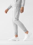 Штани 4F RL9_TROUSERS CAS RL9SS22TTROM119-25S р. XL сірий