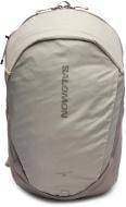 Рюкзак Salomon TRAILBLAZER 20 LC2855700 20 л серый
