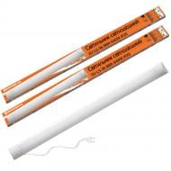 Светильник светодиодный Євросвітло ЕV-LS-36 с кабелем 1,5 м и вилкой 2 шт. 36 Вт 6400 К холодный 59648