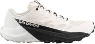 Кроссовки мужские Salomon PULSAR L47999900 р.43 1/3 белые