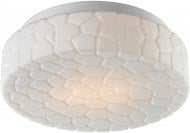 Світильник настінно-стельовий Arte Lamp AQUA 2x60 Вт E27 білий матовий A5330PL-2WH