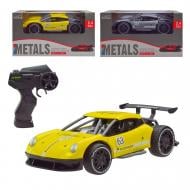 Автомобіль на радіокеруванні 2 кольори в асортименті 1:24 SL-215A