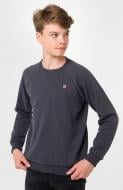 Толстовка для мальчика Smil р.128 серый меланж 116532