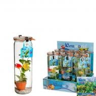 Растение 6х20 аквариумные микс в стекле