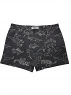 Труси для хлопчиків Bibo р.98 22059