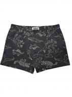 Трусы для мальчиков Bibo р.140 22059