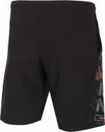 Шорты 4F D4Z20-SKMF203-20S р. 2XL черный Шорты 4F D4Z20-SKMF203-20S р. 2XL черный