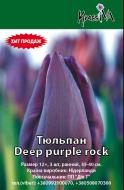 Луковица Тюльпан Deep purple rock 3 шт.