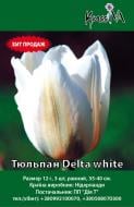 Луковица Тюльпан Delta white 3 шт.