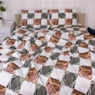 Комплект постельного белья Microsatin Premium 15-0372 Treviso 160х220 см мультиколор MirSon