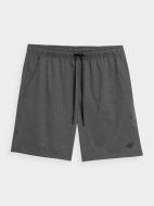 Шорты 4F SHORTS FNK M250 4FMM00TFSHM250-23M р. XL серый