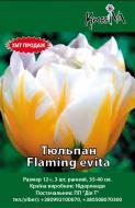 Луковица Тюльпан Flaming evita 3 шт.