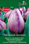 Луковица Тюльпан Jacuzzi 3 шт.
