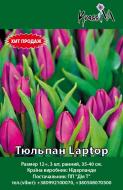 Луковица Тюльпан Laptop 3 шт.