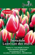 Луковица Тюльпан Leen van der mark 3 шт.