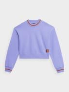 Свитшот 4F SWEATSHIRT F595 4FSS23TSWSF595-52S р.M фиолетовый