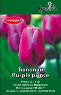 Цибулина Тюльпан Purple prince 3 шт.