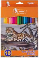 Олівці кольорові Тропік СК47-25 Умка