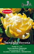 Цибулина Тюльпан Verona 3 шт.