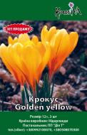 Цибулина Крокус Golden yellow 3 шт.