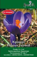 Цибулина Крокус Flower record 3 шт.