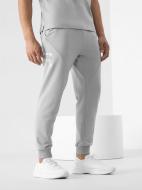 Штани 4F RL9_TROUSERS CAS RL9SS22TTROM118-25S р. L сірий