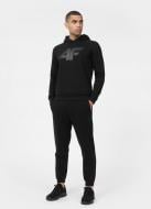 Штани 4F TROUSERS CAS M565 4FSS23TTROM565-20S р. L чорний