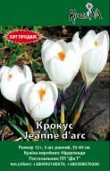 Луковица Крокус Jeanne d'arc 3 шт.