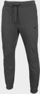Брюки 4F D4Z20-SPMC300-24S р. 2XL серый Брюки 4F D4Z20-SPMC300-24S р. 2XL серый