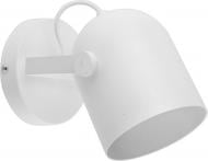 ВИТРИНА! Спот TK Lighting Spectra 1x60 Вт Е27 белый 2603 ВИТРИНА! Спот TK Lighting Spectra 1x60 Вт Е27 белый 2603