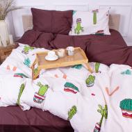 Комплект постільної білизни Сатин 22-1122 Frank 200х220 см мультиколор MirSon