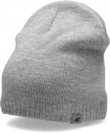 Шапка 4F J4Z20-JCAM205-25M р.one size серый