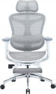Кресло офисное Sihoo с подставкой для ног DORO C300L Mesh White with footrest