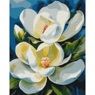 Картина по номерам Белая магнолия 40х50 см Santi