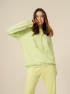 Джемпер Outhorn SWEATSHIRT F300 OTHSS23TSWSF300-45S р.S зелений