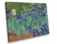 Репродукция Ирисы Винсента ван Гога 75x60 см WallArt 54352-1.3