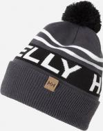 Шапка Helly Hansen BUSINESS BEANIE 2 67150-980 р.one size черный